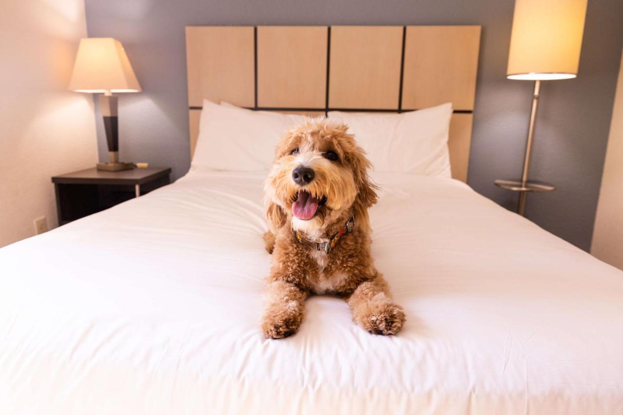 Sonesta Simply Suites Orange County Airport サンタアナ エクステリア 写真